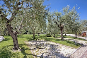 Parco della struttura