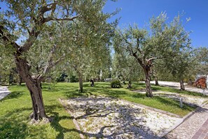 Parco della struttura