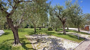 Un parque con árboles, un camino pavimentado y un área con césped.