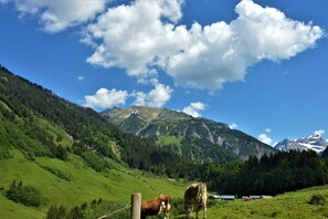 Unclassified image, 5 of 24, button