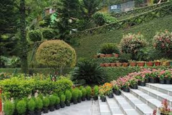 Jardín