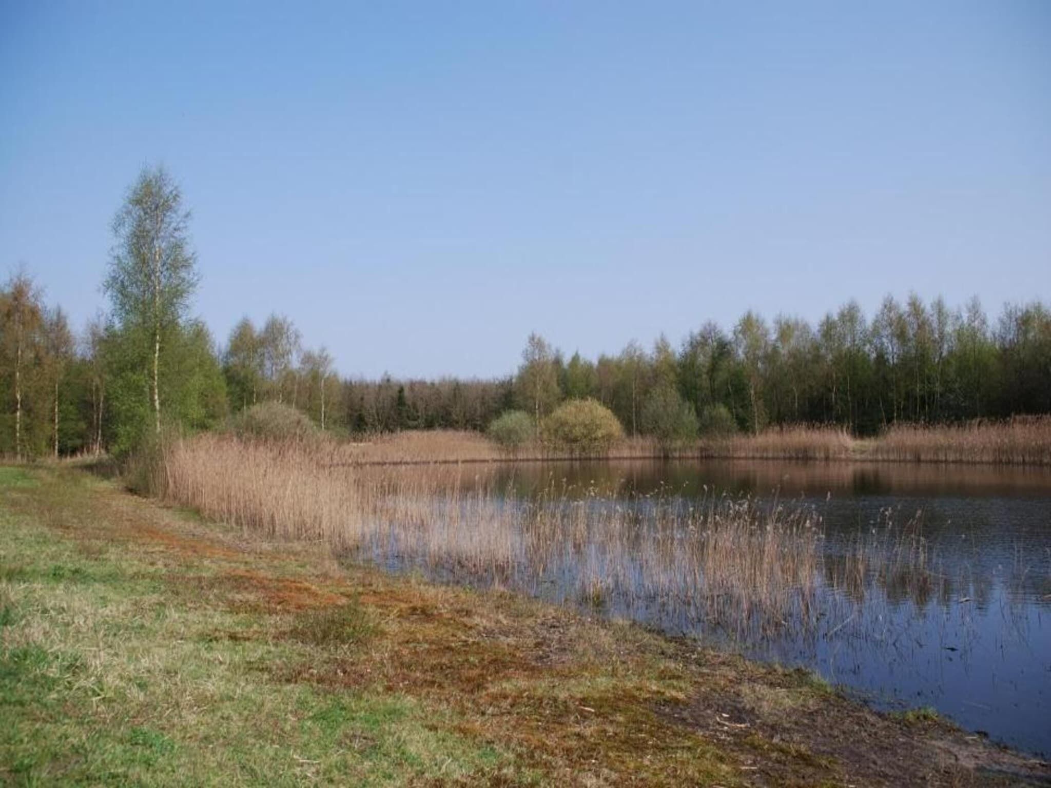 In der Region [Sommer] (>5 km)