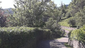 Un vialetto lastricato costeggiato da vegetazione lussureggiante e un muro in pietra, che conduce a un edificio in pietra.