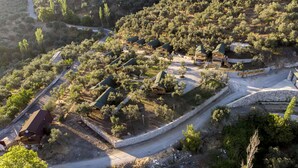 An aerial view of a resort with multiple cabins, surrounded by olive groves and a winding road. - Kazdagları Saglikli Yasam Tatil Koyu (Edremit)