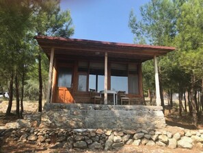Habitación estándar | Terraza o patio