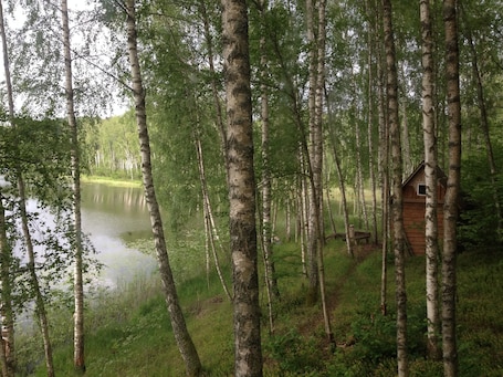 Property grounds. House in the forest. Homestead. Private lake nearby