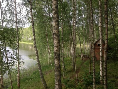 House in the forest. Homestead. Private lake nearby
