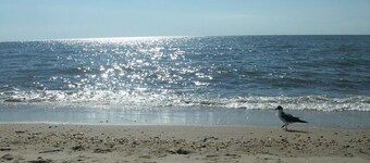 GREAT OCEAN CITY LOCATION-NEXT TO BEACH & BOARDWALK!