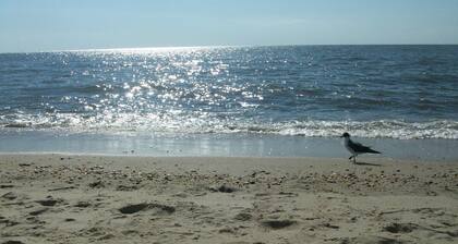 GREAT OCEAN CITY LOCATION-NEXT TO BEACH & BOARDWALK!