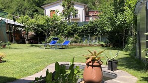 Un jardín bien cuidado con césped, una maceta de terracota grande y algunas plantas en macetas.