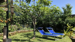 Un patio trasero con césped, dos tumbonas azules, un árbol pequeño y un muro de piedra.