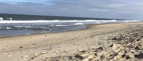 Playa en los alrededores y camastros