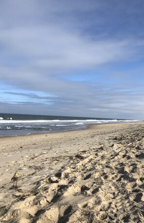 Beach nearby, sun loungers