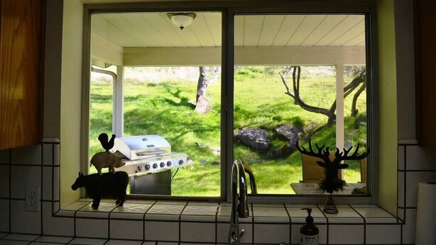 Una cocina con vista a un jardín césped, una parrilla y una cabeza de venado decorativa.