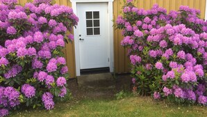 Una puerta blanca con ventanal, rodeada de densos grupos de flores púrpuras.