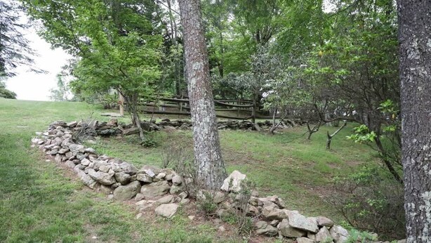 Paisaje natural con un muro de piedra, árboles y un puente de madera.