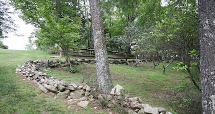 Fern Cottage by Buffalo Mountain Getaway