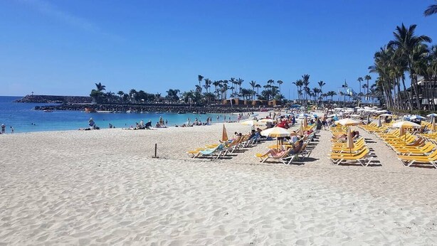 A beach with rows of sun loungers and umbrellas, palm trees, and a clear blue sky. - Casa La Moringa - Holiday house close to the beach (Los Caideros)
