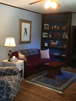 Smart TV, DVD player, books, video library