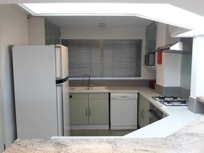 Fridge, microwave, stovetop, dishwasher