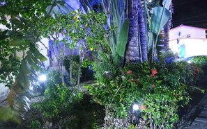 A garden area with various plants and a statue.