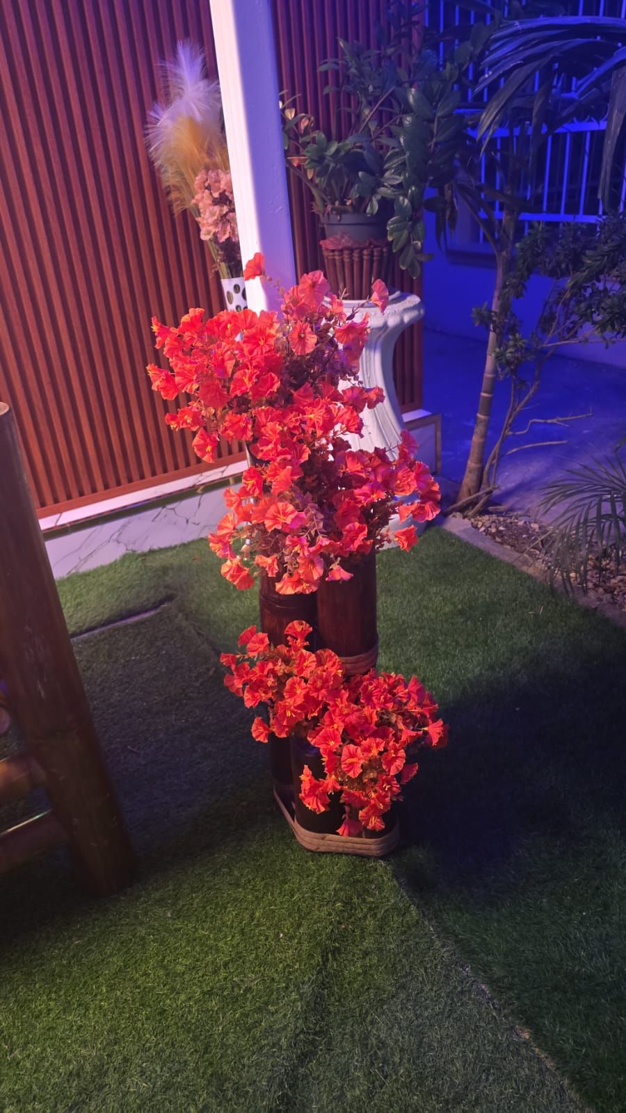 Una planta en test amb flors vermelles en una zona de jardí amb gespa artificial.