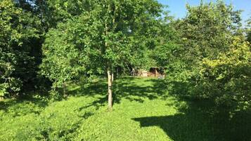 Área da propriedade