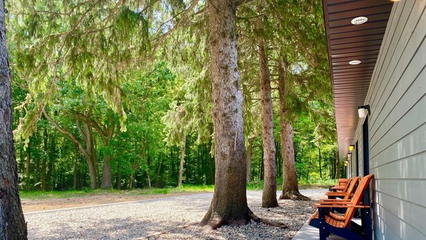 A covered outdoor seating area with benches, surrounded by trees and gravel. - 4411 Inn & Suites (Michigan City)