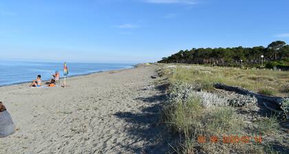 Beach<100m. Air conditioning. Wifi. Enclosed garden. bbc. Parking.opt car. No. of activities
