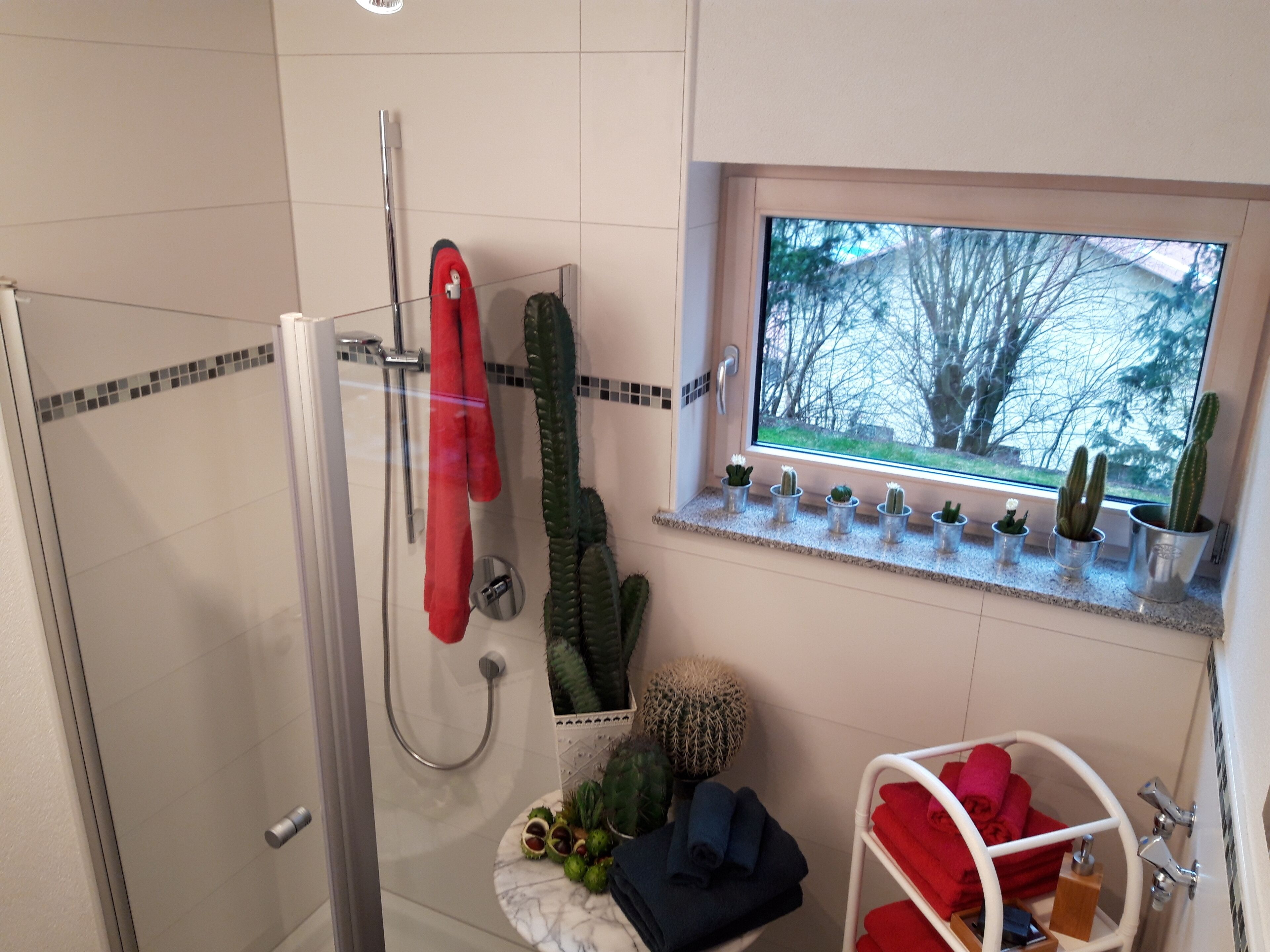 Haartrockner, Handtücher, Seife, Shampoo