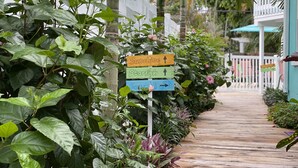 Exterior - Siesta Key Dream Inn (Siesta Key)