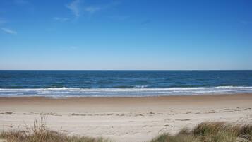 On the beach