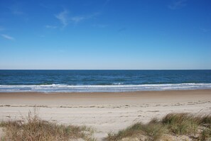 On the beach