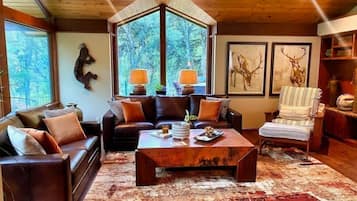 Smart TV, chimenea, reproductor de DVD