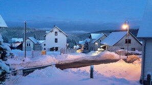 Property grounds - Flat with unique mountain panorama (Gehlberg)