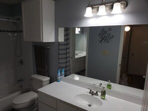Combined shower/bathtub, hair dryer, towels, soap