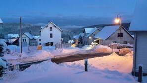 Property grounds - Villa "Thüringer Landhaus" with sauna (Gehlberg)