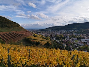 Nicht klassifiziertes Bild, 5 von 8, Schaltfläche