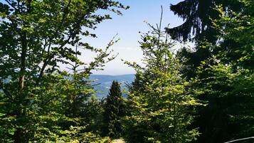 Área da propriedade