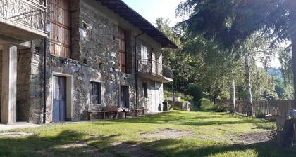 casa isolata nella natura