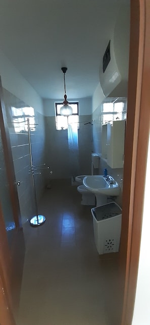 Shower, hair dryer, bidet, towels