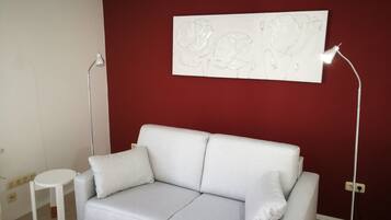 Smart TV, DVD player, books, video library