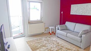 Smart TV, DVD player, books, video library