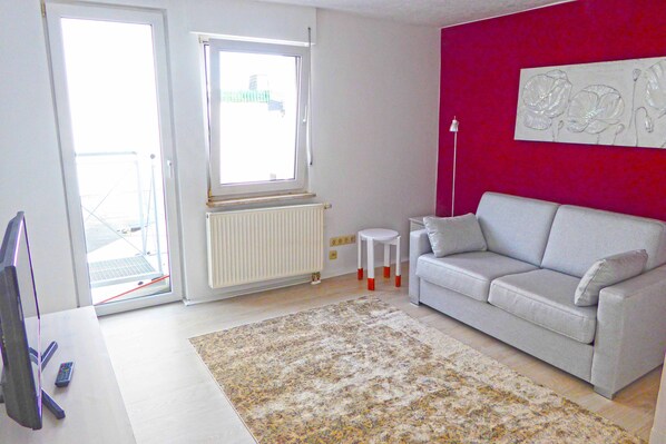 Smart TV, DVD player, books, video library