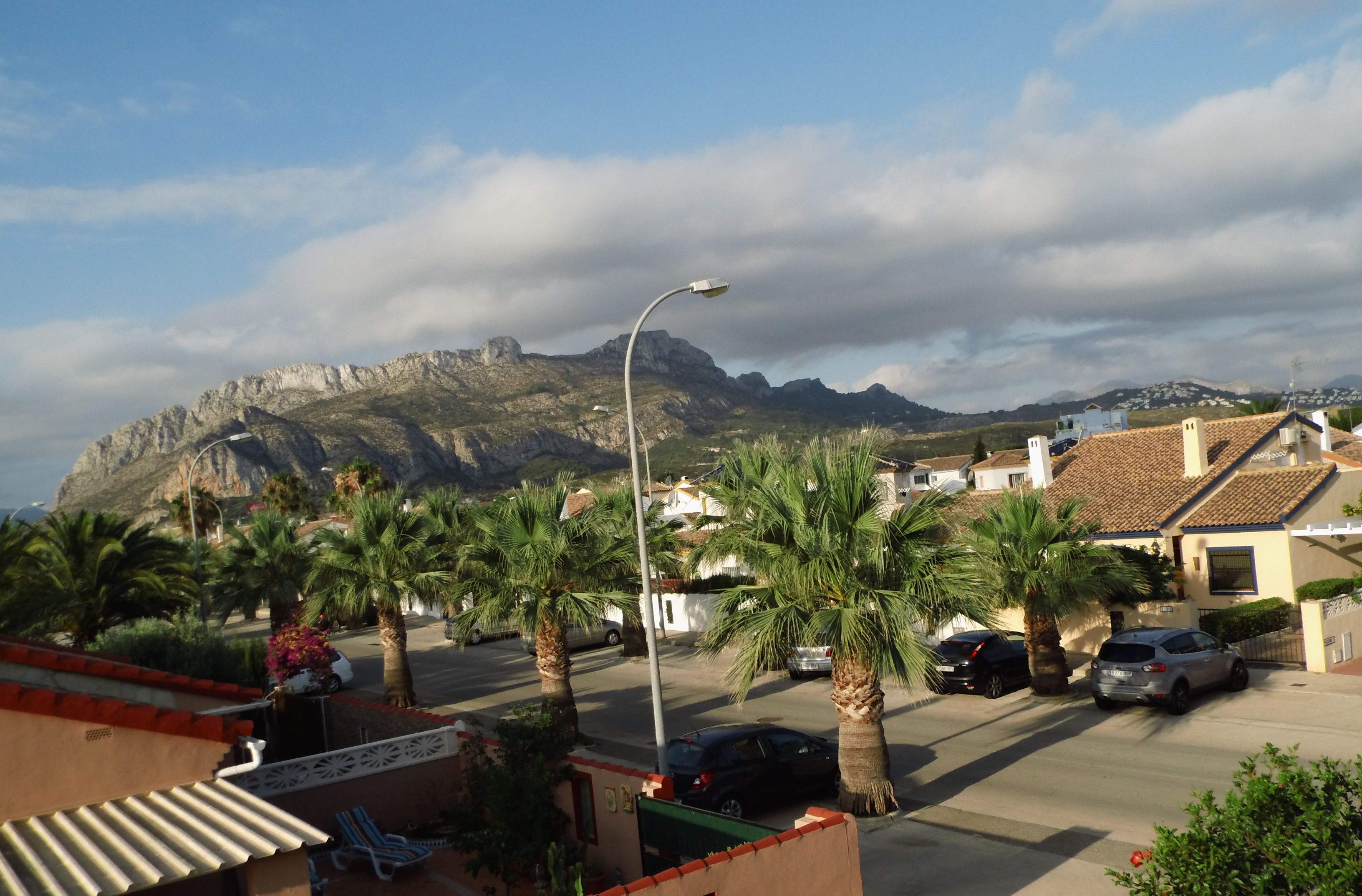 A residential street with palm trees, parked cars, and houses with tiled roofs.