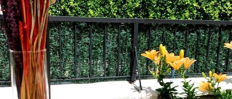 Televisión de pantalla plana