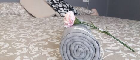 3 chambres, lit parapluie, draps fournis