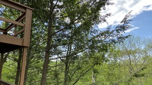 A wooden observation deck with a metal railing, surrounded by dense green forest and tall trees. - 4br 2ba Chalet in Poconos that sleeps 10 (Bushkill)
