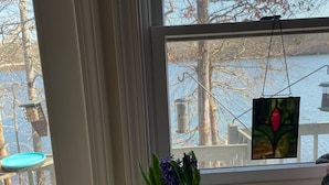 A potted plant on a windowsill with a view of a dock and trees outside.