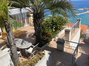 Un espace patio aménagé avec une table et des chaises, un palmier et une vue sur la mer.